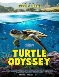 مستند Turtle Odyssey 2019