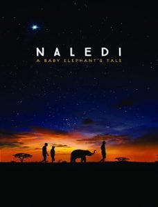 مستند Naledi A Baby Elephants Tale 2016