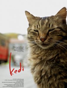 دانلود مستند Kedi 2016