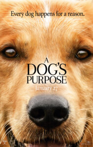 a dog's purpose