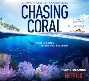 Chasing Coral 2017