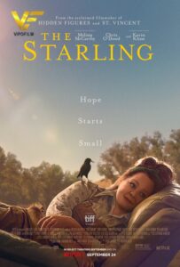 دانلود فیلم سار The Starling 2021