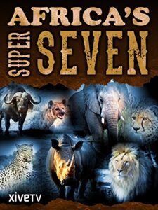 Africa’s Super Seven 2008