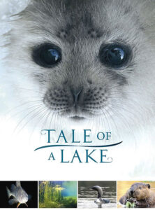 Tale-of-a-Lake-2016