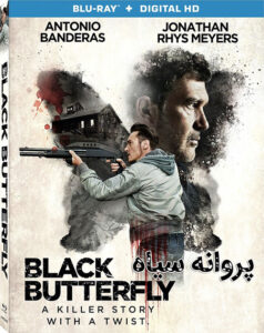 Black-Butterfly-2017