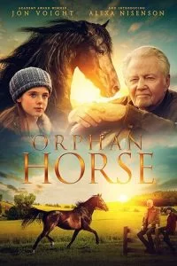 Orphan Horse 2018