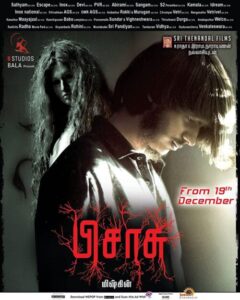 Pisaasu-500x625