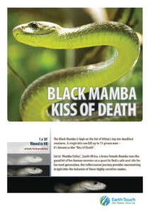 Black Mamba Kiss Of Death 2014