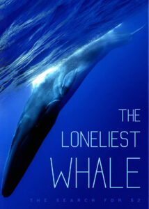 The-Loneliest-Whale-The-Search-for-52-2021