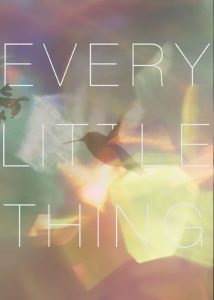 دانلود مستند تکتک چیزهای کوچک Every Little Thing 2024