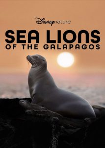 دانلود مستند شیرهای دریایی گالاپاگوس Sea Lions of the Galapagos 2025