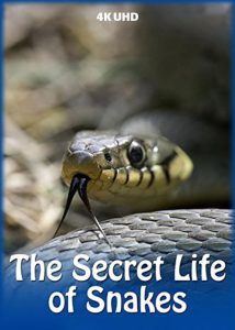 دانلود مستند The Secret Life of Snakes 2016