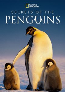 دانلود مستند اسرار پنگوئنها با زیرنویس چسبیده Secrets of the Penguins 2025