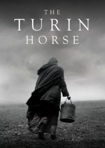 دانلود فیلم اسب تورین با زیرنویس چسبیده The Turin Horse 2011