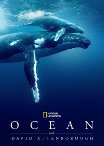 دانلود مستند اقیانوس با دیوید اتنبرو Ocean with David Attenborough 2025