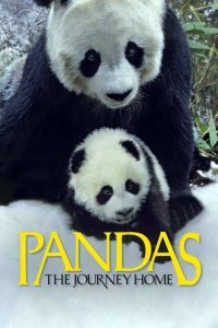 دانلود مستند پاندا: بازگشت به خانه همراه با دوبله فارسی Pandas: The Journey Home 2014