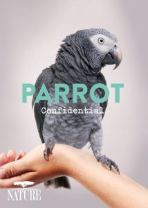 دانلود مستند اسرار طوطی‌ها Parrot Confidential 2013