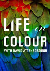 دانلود مستند سریالی حیات رنگی Life in Colour 2021
