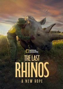 دانلود مستند آخرین کرگدنها: امید تازه The Last Rhinos: A New Hope 2025