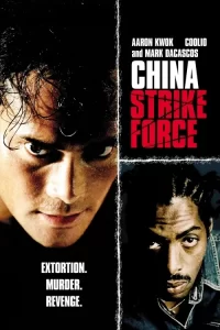 دانلود فیلم قدرت چینی با دوبله فارسی 2000 China Strike Force