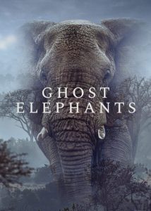 دانلود مستند فیل‌های شبح Ghost Elephants 2025
